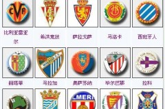 尤文图斯转会窗口：孔塞桑回归 门迪加盟可能性分析