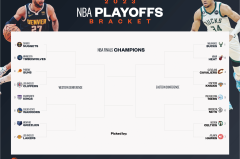 NBA新星弗拉格：诺维茨基力挺，天赋汗水铸就独行侠复兴希望