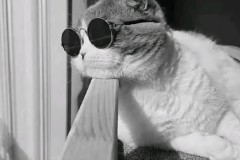 曼联内部风波：奥纳纳涨薪请求与财务问题应对