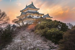 成都蓉城亚冠赛程曝光：15号抽签分组，首战将于9月16号展开